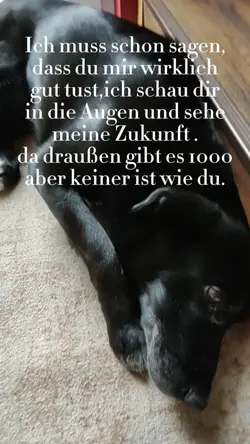 Zukunft