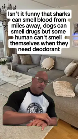 isn't it funny 