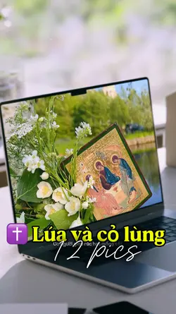 ✝️ Lúa và cỏ lùng