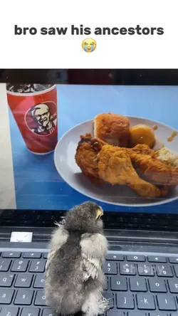 bro saw his future 😭