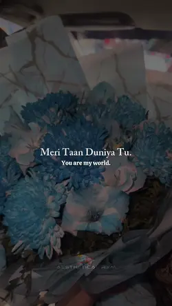 Duniya 🤍