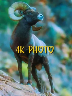 144p.4k.100%