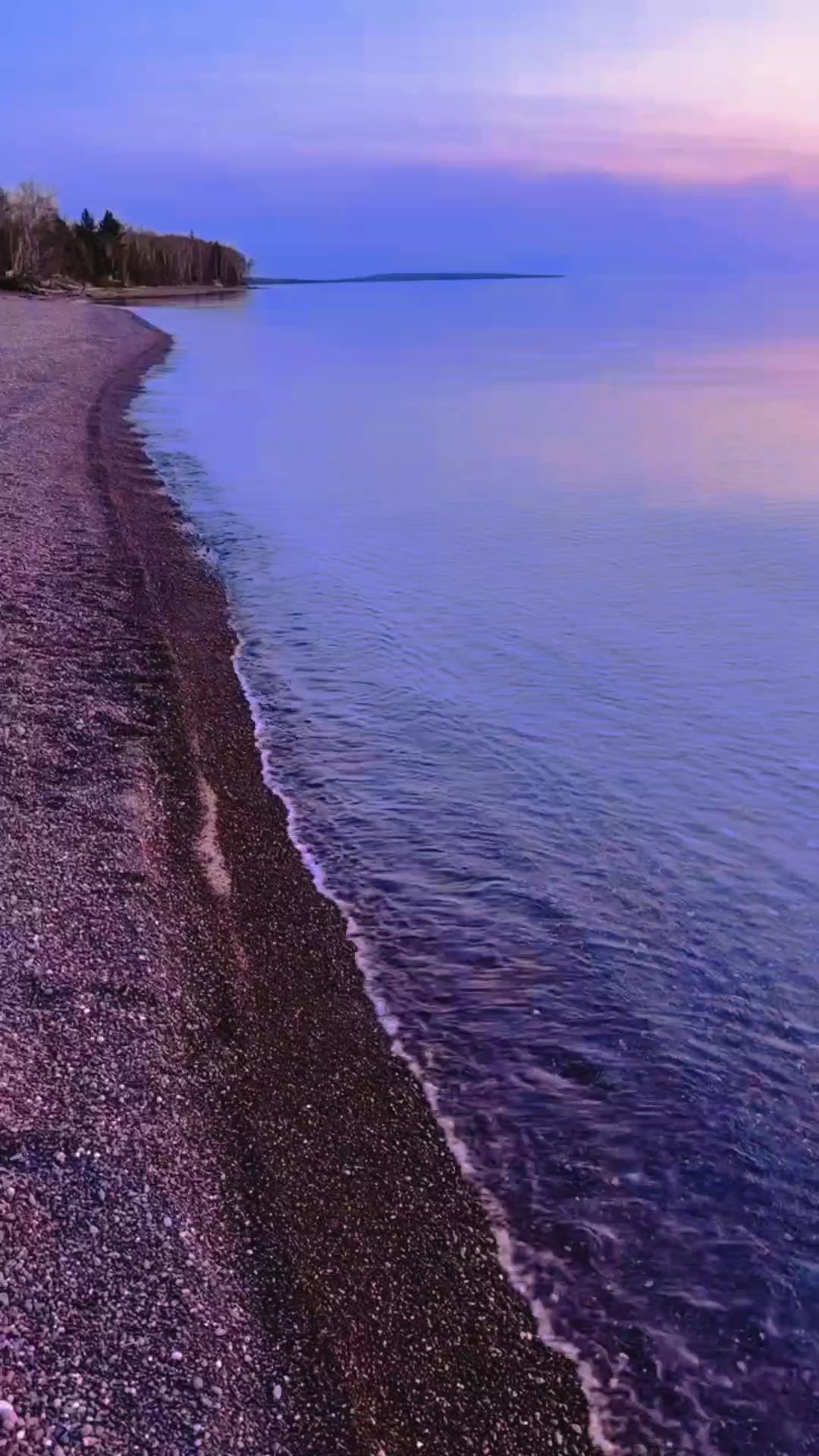 N'abandonnez pas