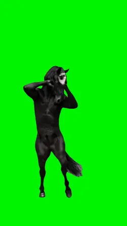 BEND STALLION