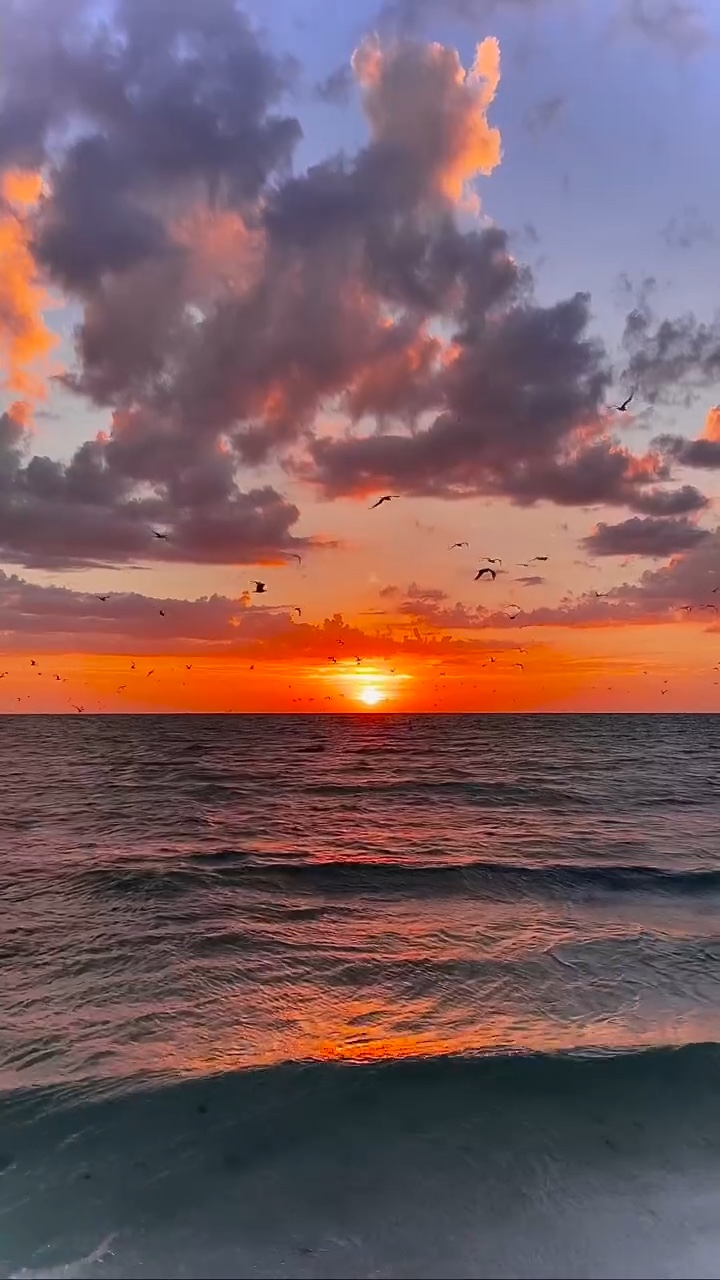 12 Nature videos 4U