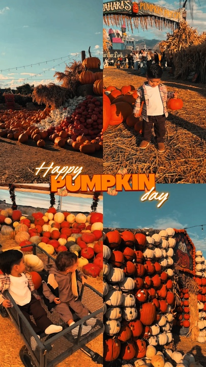 Día del huerto de calabazas