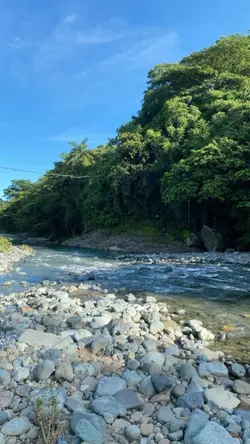 Nature/ Song