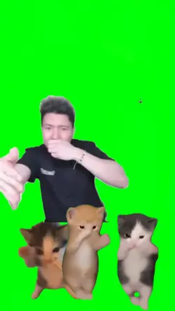 kicau mania