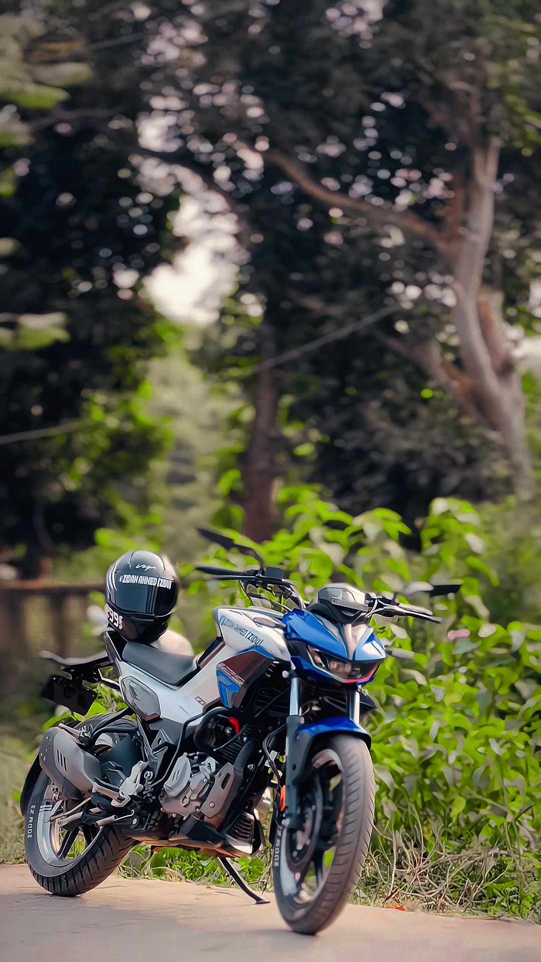 Cover Picture