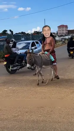 Cưỡi ngựa