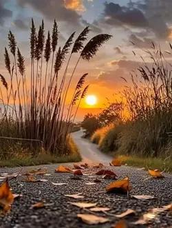 Düştüm Kara Sevdana 