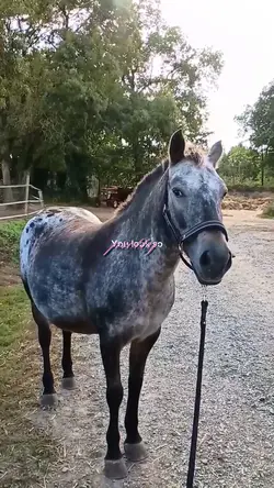 you look so pretty
