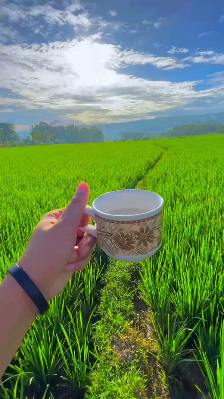 2 filtres vidéo HD