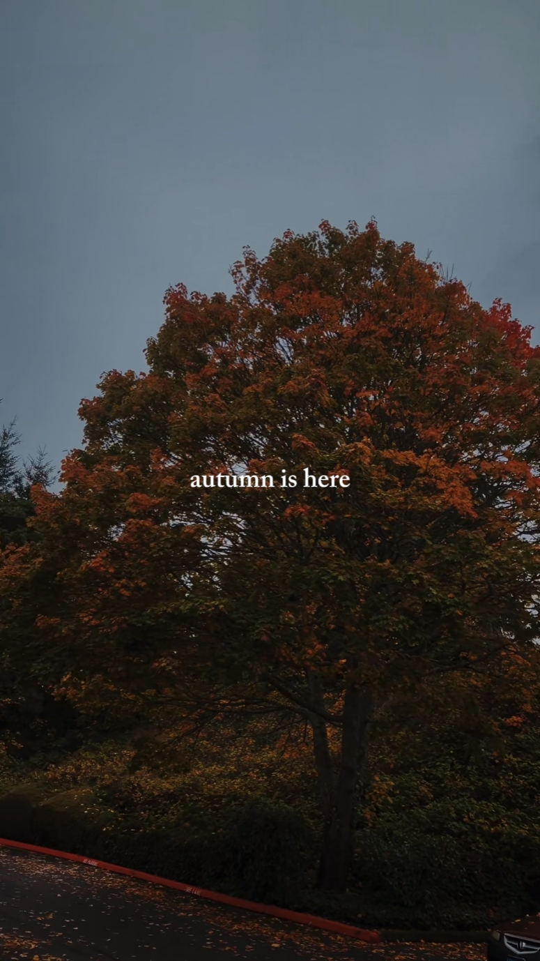 Der Herbst ist da
