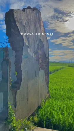 maula ya sholi