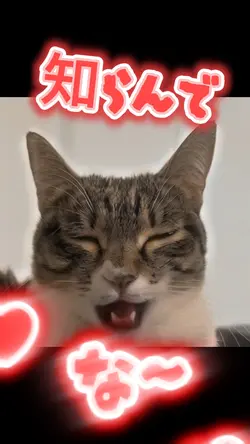 ペット動画など リップシンク