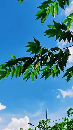 10 clips cinematic