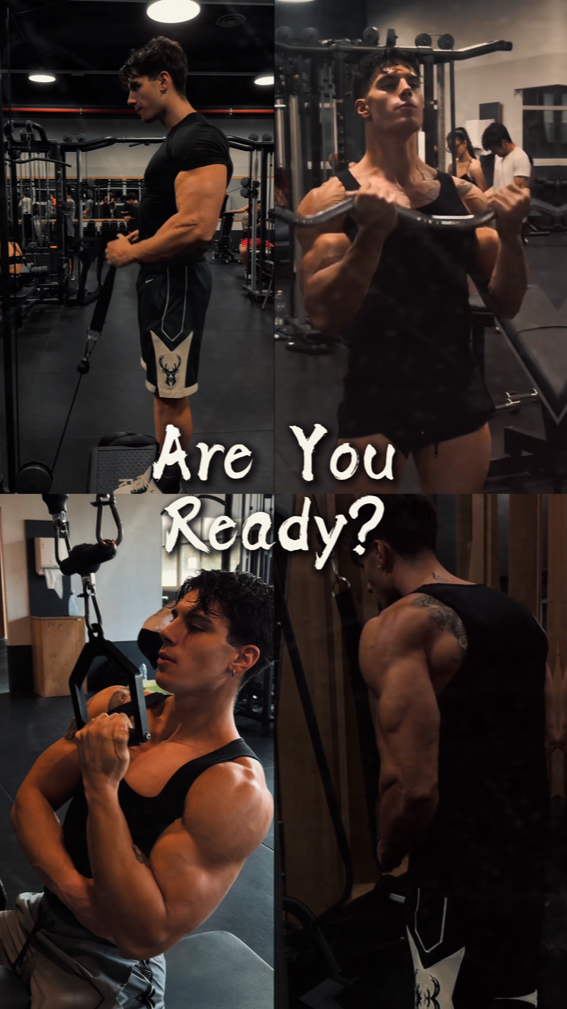 PRO GYM V101