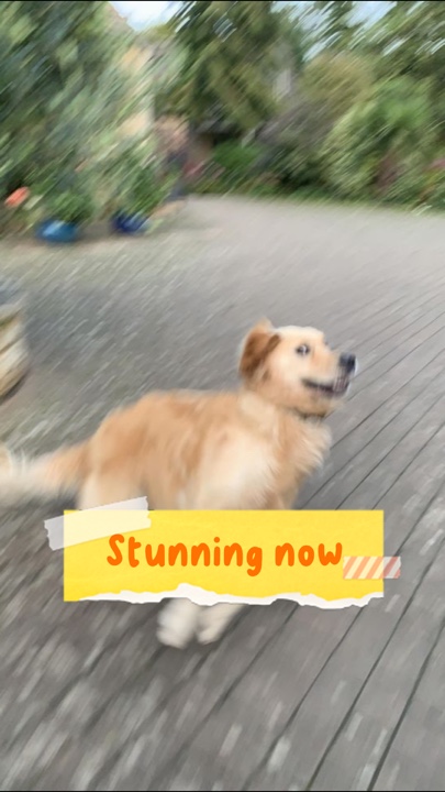 Jetzt atemberaubend