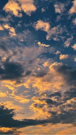 filter senja