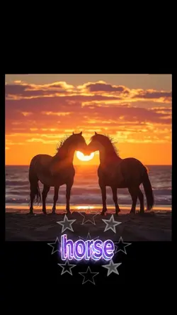 horse 
