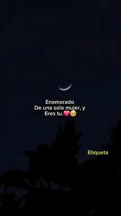 Enamorado de ti