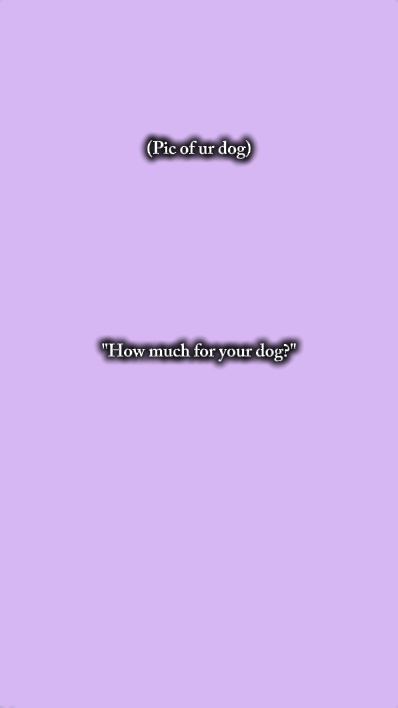 Wie viel 4 ur Hund