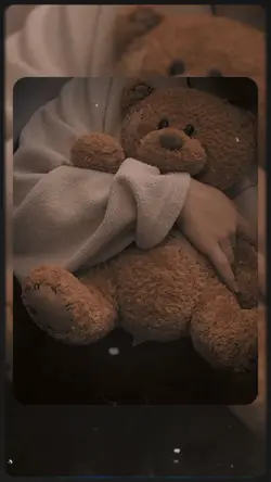 Teddy bear