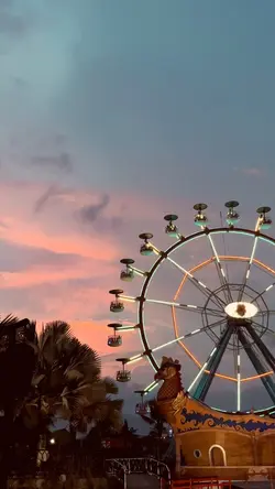 A whole new world