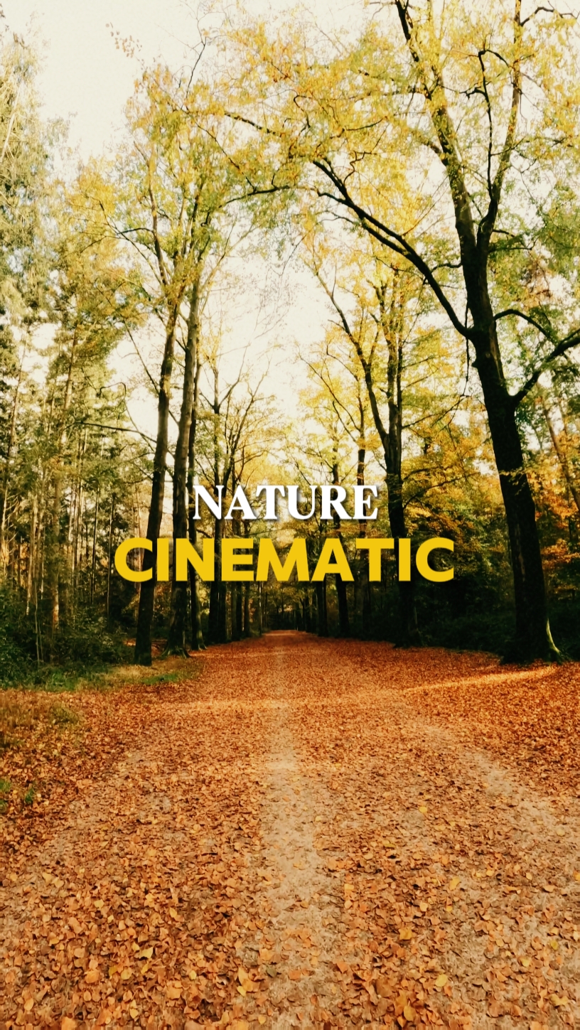 Nature Cinematic 