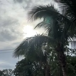 พระแสงอะไร🖤