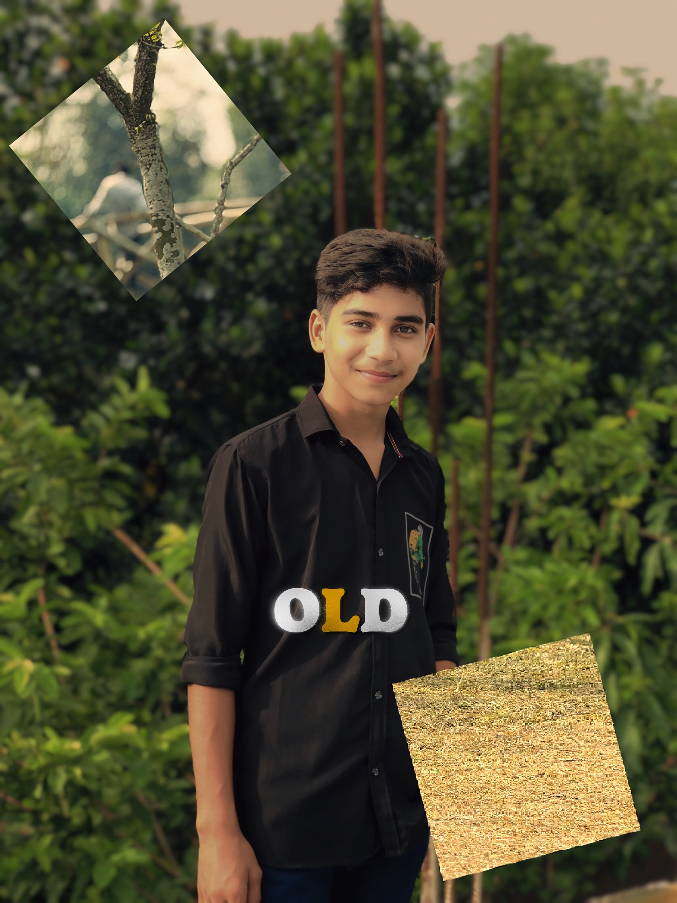 Cover Picture