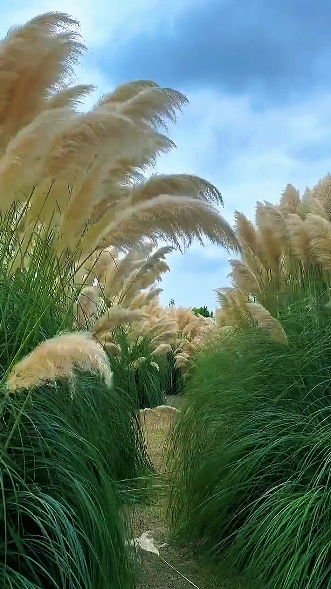 Natur filmisch 
