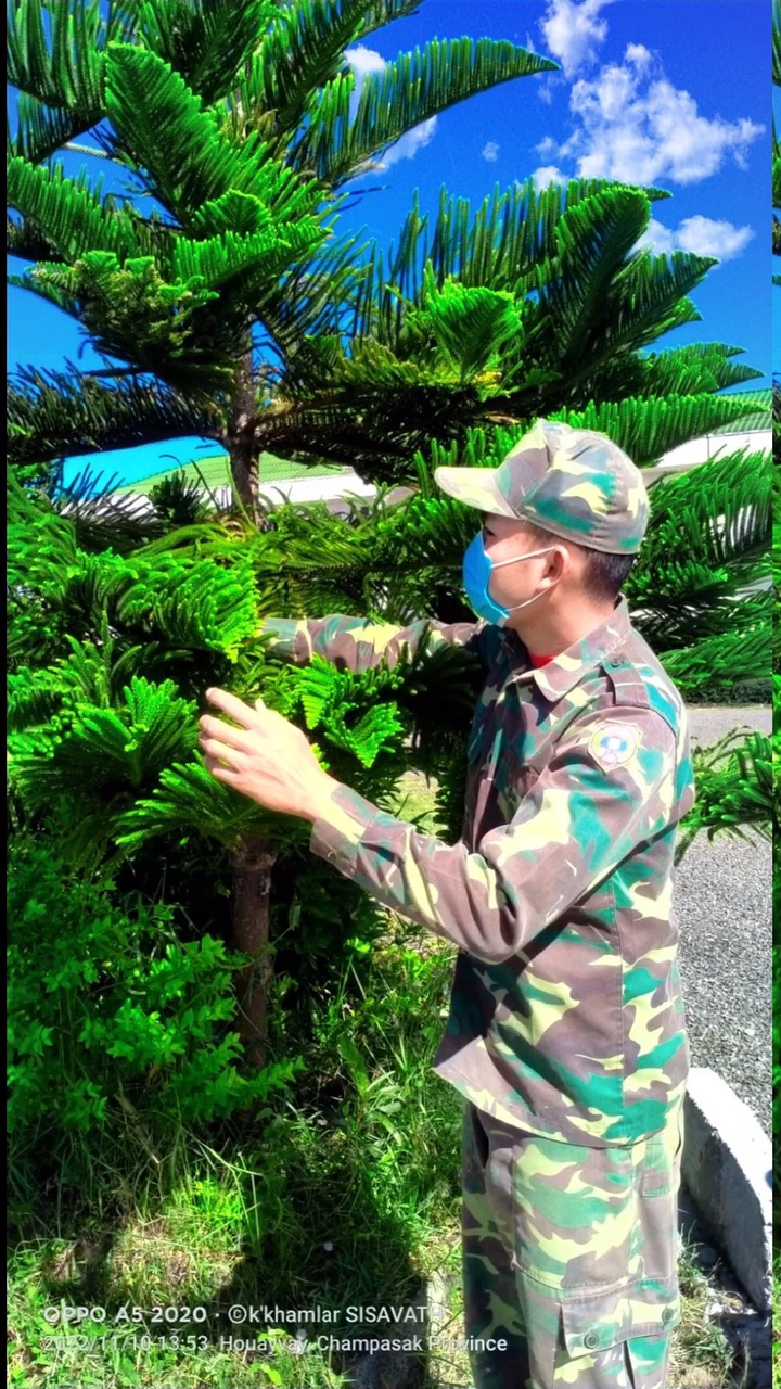 สักวันฉันต้องลืม