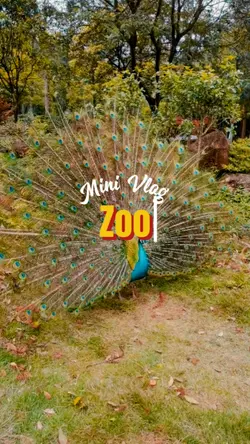 Vlog Zoo
