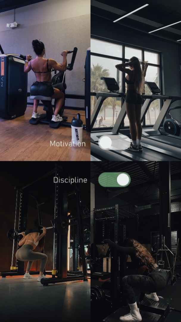 DISCIPLINA