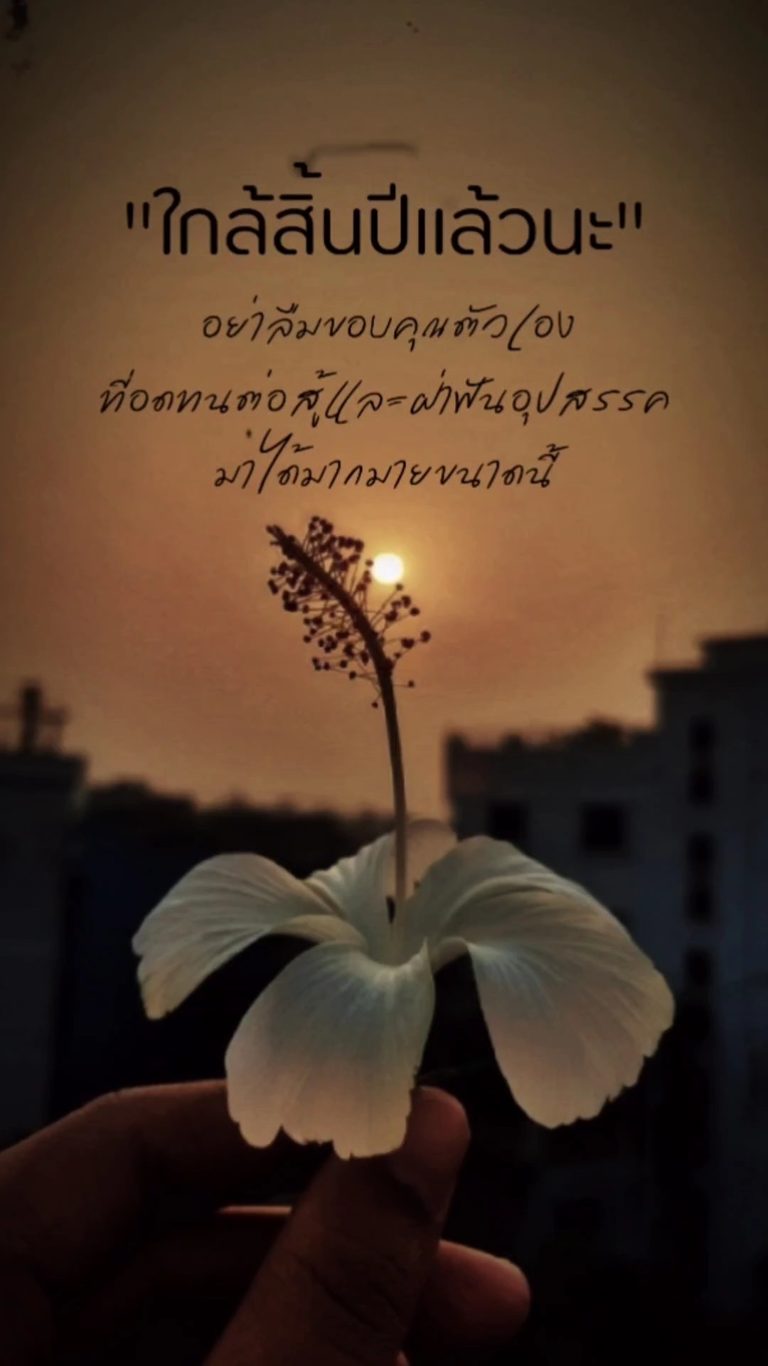 ขอบคุณตัวเอง