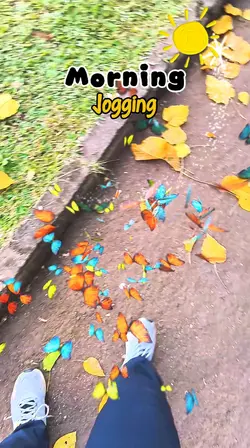 MORNING JOGGING 