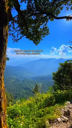 nature is peace