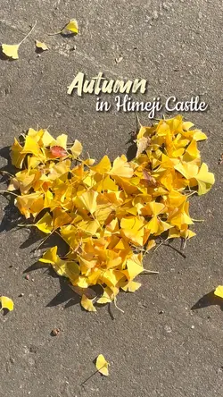 Mùa thu Nhật Bản