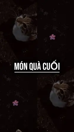 Món quà cuối | piano