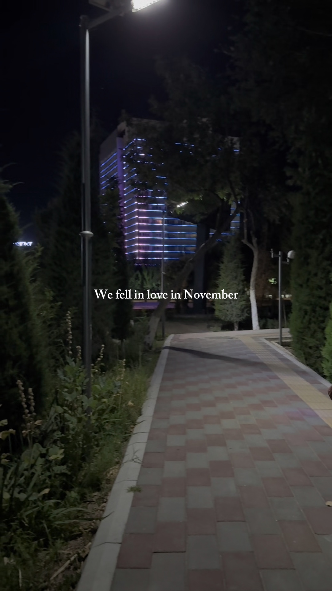 Nous sommes tombés amoureux en