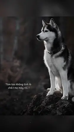 Cap1ảnh