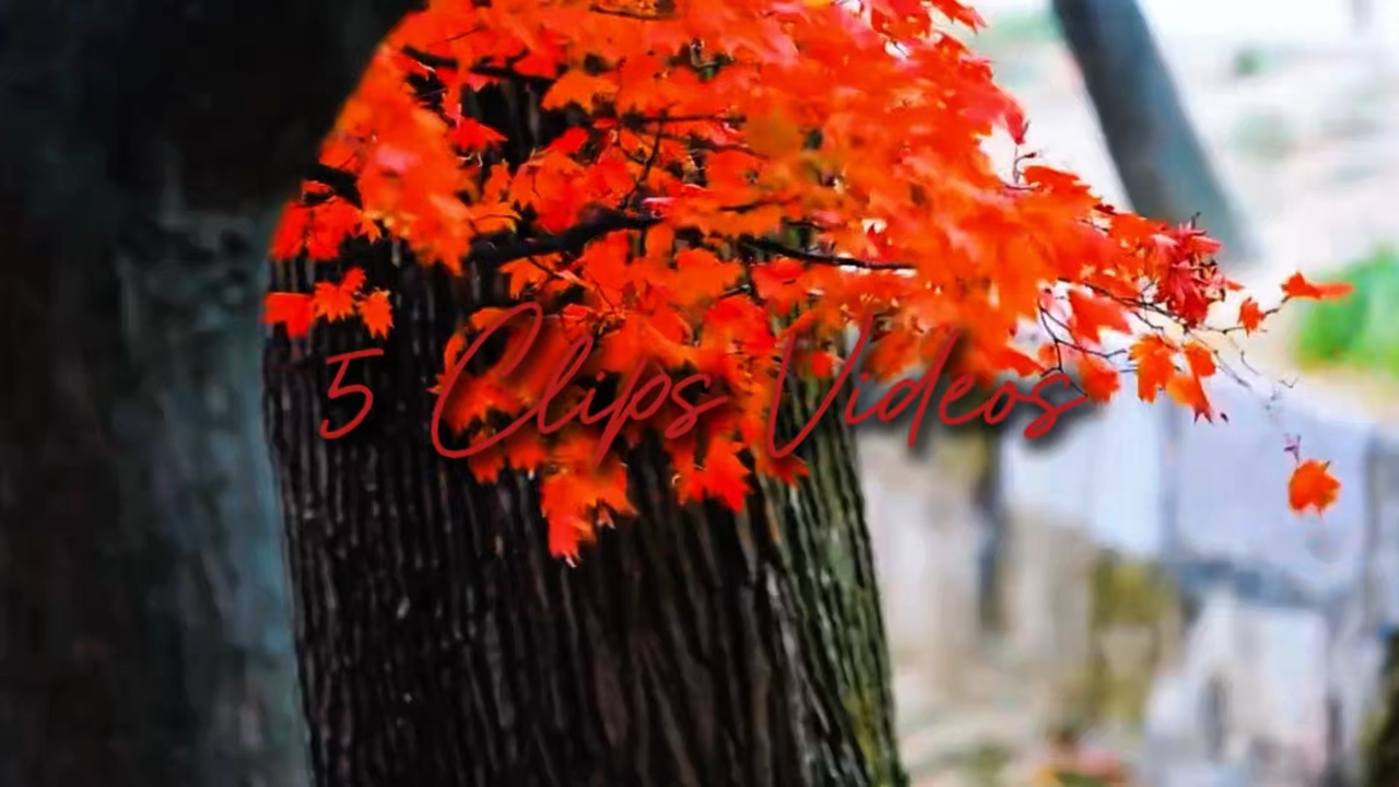 Sinematik 5 Videolar 