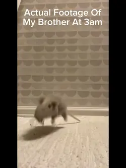 Brothers Be Like