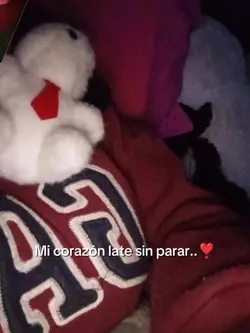 Agregar 13 clips