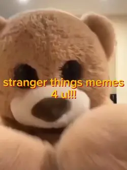 stranger things MEME