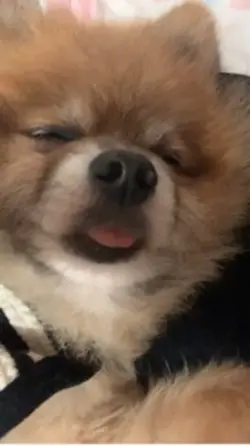 孤單心事｜5張不鎖