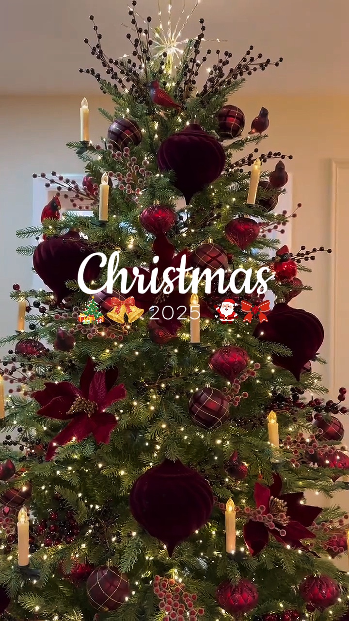 Hallo Weihnachten 2025