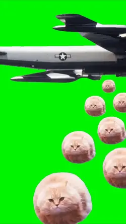 Spinning Flying Cats
